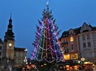 Vánoní strom v centru Ostravy