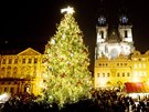 Vánoční strom v centru Prahy