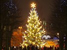 Vánoní strom v centru Karlových Var