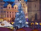 Vánoní strom v centru Plzn