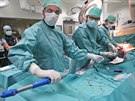 Lékai tineckého kardiocentra implantovali pacientce první srdení chlope...