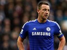 NECHÁPU. Kapitán Chelsea John Terry jen tko skousává poráku od Newcastlu.