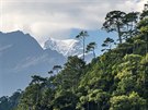 Kontrast zelených les� a zasn�ených himálajských hor v údolí nedaleko Punakha