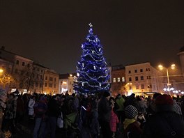 U jihlavského vánoního stromu se pi jeho prvním rozsvícení shromádily davy...