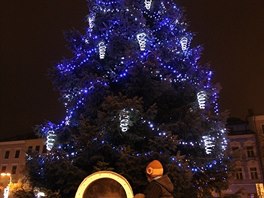 Vánoní strom se rozzáil modrobílými ozdobami.