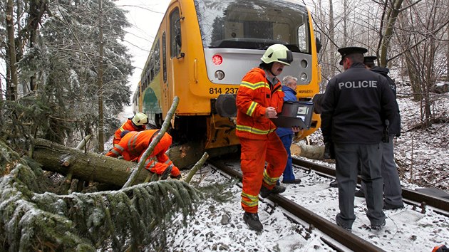 Osobní vlak narazil do spadlého stromu na železniční trati u Radňovic na Vysočině. (2. prosince 2014)