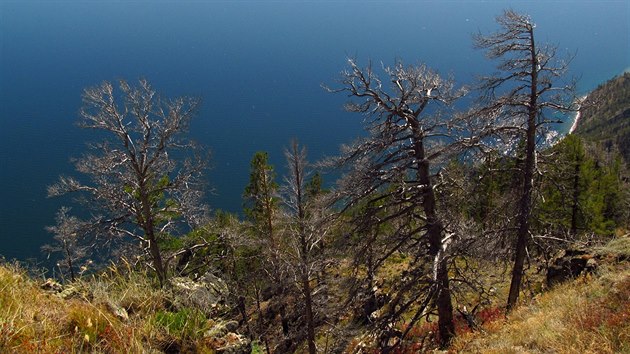 Jezero Bajkal skt se svm okolm krsn scenrie.