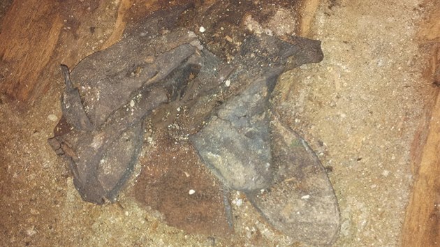 Archeologov nali v libereckm kostele sv. Antonna Velikho kryptu a v n rakve s devti kostrami. Hrob vydal i boty, epec nebo kky a medailonky.