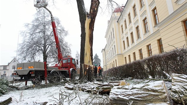 st vzrostlho stromu padla u novomstskho gymnzia. Star vyhnil akt u hlavnho vchodu do koly pi pdu strhl telefonn kabel a pokodil stechu pstavku budovy, uvedl editel gymnzia Ji Madra.