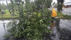 Tajfun Hagupit na Filipínách poráel stromy a niil obydlí.