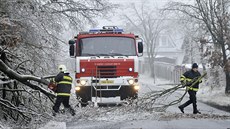 Tká ledová námraza lámala vtve i celé stromy na Tebísku. (2. prosince 2014)