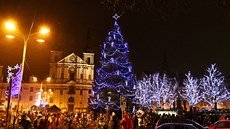 Vánoní strom v centru Jihlavy