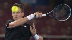 �eský tenista Tomá� Berdych v zápase s Francouzem Jo-Wilfriedem Tsongou.
