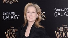 Meryl Streepová (New York, 8. prosince 2014)