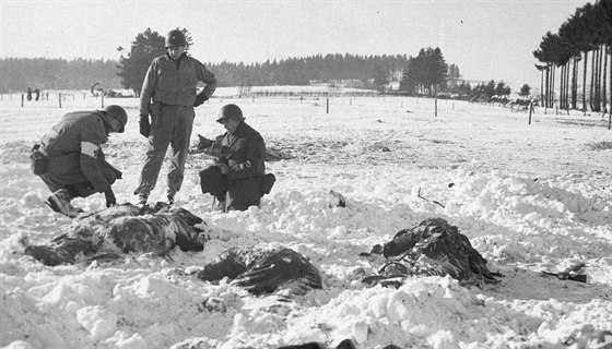 Leden 1945. Amerití vojáci ohledávají tla svých krajan, které Nmci...