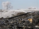 Trosky maljsijského boeingu u obce Hrabove na východ Ukrajiny (15. prosince...