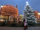 Mode nasvícený vánoní strom na telském námstí obklopují listnáe odné do...