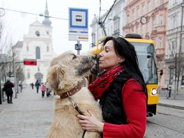 Tramvaj se s redaktorkou MF DNES svezla zakladatelka obanskho sdruen...