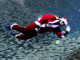 Dressed in a Santa Claus outfit, a diver swims with sardines to celebrate for...
