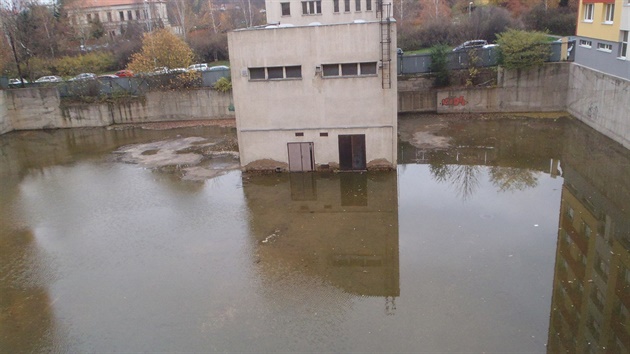 Stranický rybník (rok 2014)