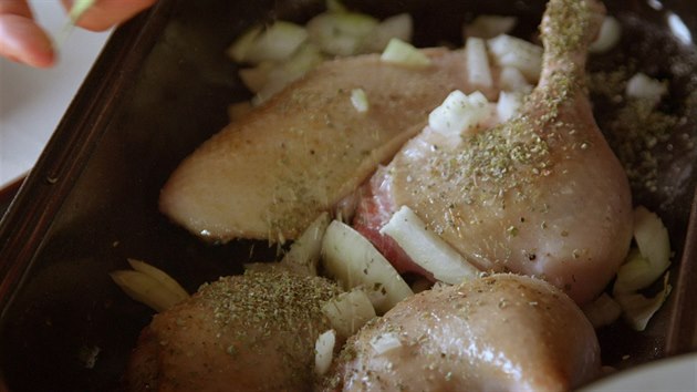 Kachna se nejprve osma��