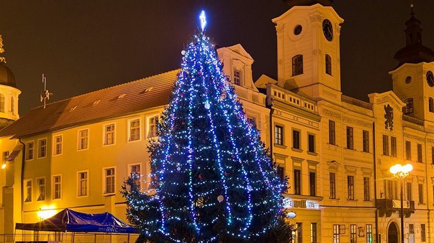 Vánoní strom v centru Hradce Králové