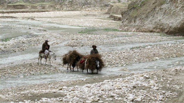 Nejastjm dopravnm prostedkem na venkov je v oblasti Zar osel (Afghnistn, 27. listopadu 2014).
