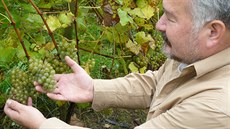 Ji�í Pelikán p�stuje v Litobo�i víno a za�ídil tam i mo�tárnu.