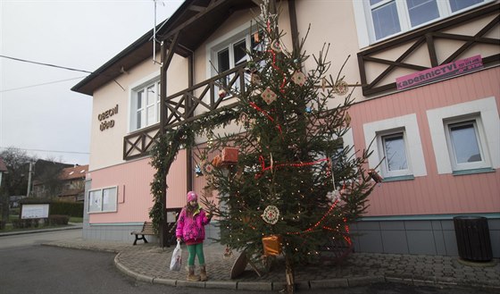 Před obcním úřadem v Lipové stojí vánoční strom.