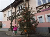 Před obcním úřadem v Lipové stojí vánoční strom.