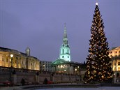 Londýn, vánoční strom na Trafalgar Square