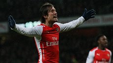JE TAM. Tomá� Rosický z Arsenalu oslavuje branku proti QPR.