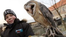 Zví�ata v záchranné stanici v zahrad� benediktinského klá�tera v Rajhrad� na...