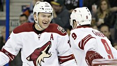 GÓÓÓL. Martin Hanzal (vlevo) a Sam Gagner oslavují trefu v zápase Edmonton -...