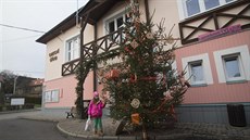 Ped obcním úadem v Lipové stojí vánoní strom.