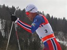Petter Northug bí pro vítzství ve druhé etap Tour de Ski.
