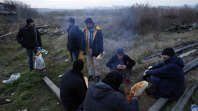 Skupina uprchlíků se hřeje u ohně nedaleko srbské Subotice (15. prosince 2014)