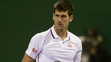 Novak Djokovi na turnaj v Dauhá, kde ve tvrtfinále nestail na Iva Karlovie.