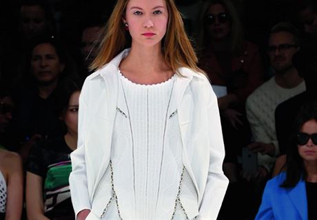 Stroze elegantn bavlna: Dior, kolekce jaro - lto 2015