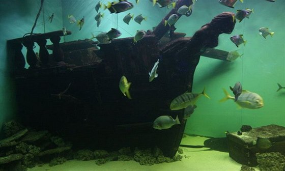 Model lodi Bounty v Zoo Moský svt v Praze