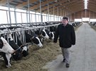 Farma v Uhelné Píbrami je s 1200 krávami nejvtí a nejmodernjí v esku,...