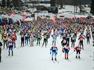 Startovní pole Jizerské padesátky 2015, závodu Ski Classics v dálkovém bhu na...
