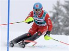 Italský lya Stefano Gross vyhrál slalom v Adelbodenu,