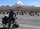 Bolivie, Altiplano, v pozadí sopka Sajama