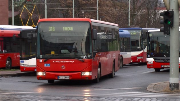 Praskou pmstskou dopravu organizuje spousta regionlnch dopravc. Ropid chce, aby vechny autobusy mly jednotn vizuln styl v modro-blo-erven barv, bez ohledu na provozujc firmu.