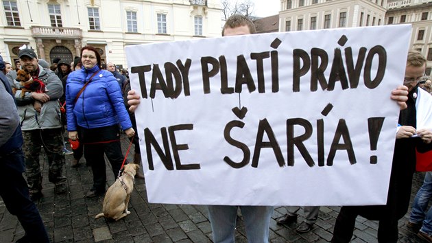 Manifestace proti islmu ped Praskm hradem (16. ledna 2015 )