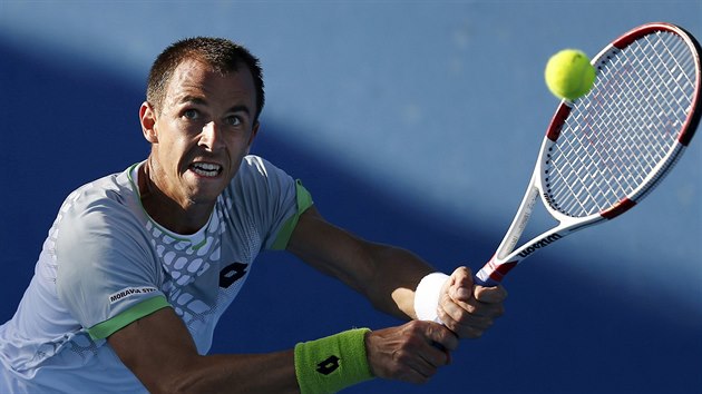 BOJOVNK. Luk Rosol v prvnm kole Australian Open.