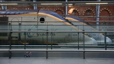 Vlak TGV spolenosti Eurostar zstal ve stanici. (17. ledna 2015)
