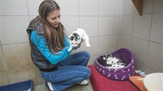 Hana Míčová s kočkami z útulku na zlínské Vršavě