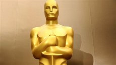 Sochy Oscara zdobily vyhláení nominací v Los Angeles.